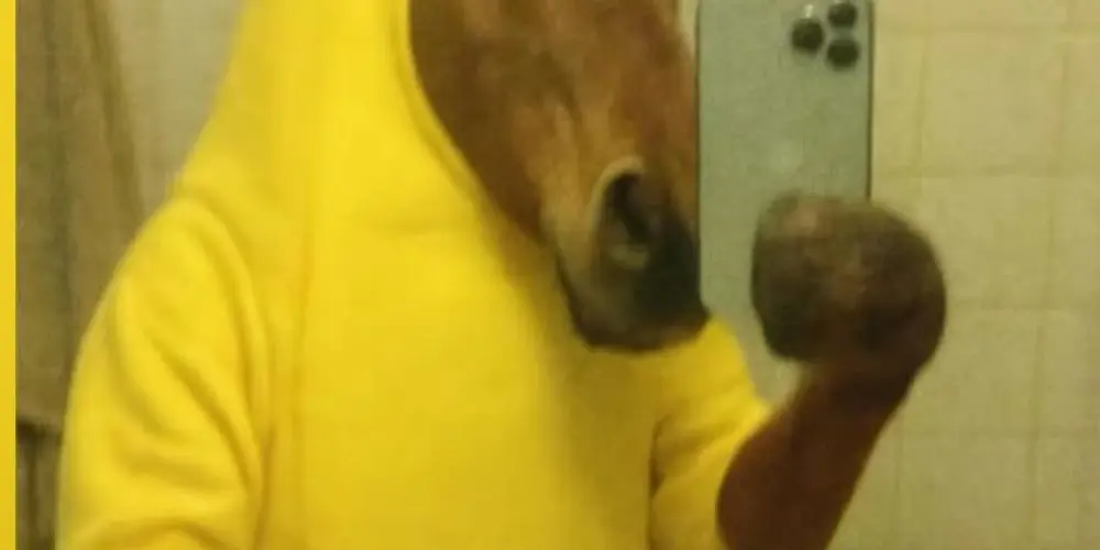 Imagem do grupo de WhatsApp eqp caos 💨