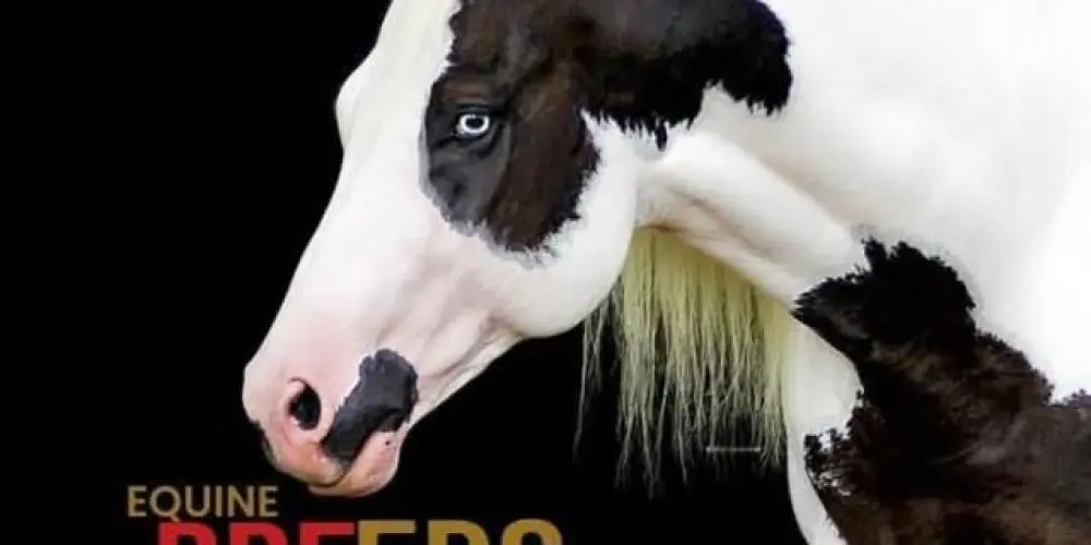 Imagem do grupo de WhatsApp EQUINE BREEDS-Oficial