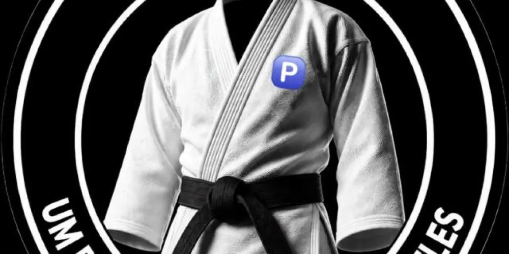 Imagem do grupo de WhatsApp Equipe 🥋🅿️