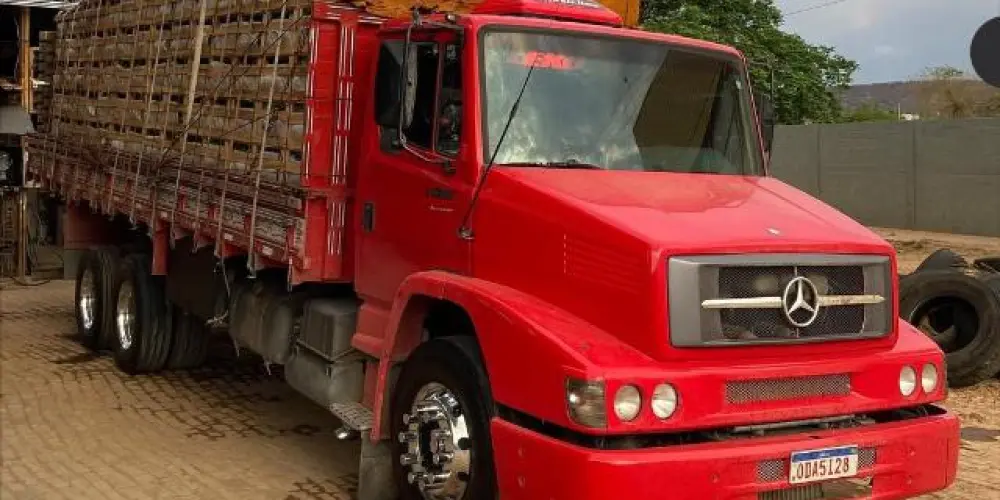 Imagem do grupo de WhatsApp EQUIPE ARQUEADOS 🤟