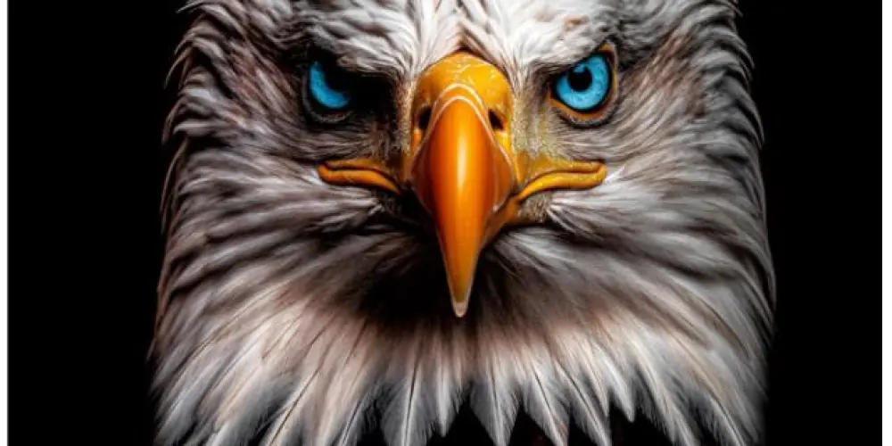 Imagem do grupo de WhatsApp Equipe evolução! O Renascimento💪☀️🦁