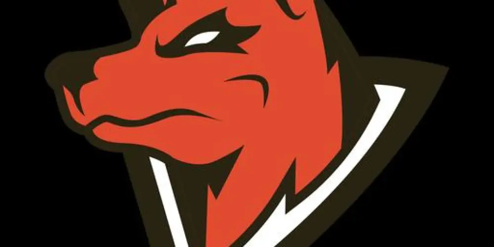 Imagem do grupo de WhatsApp Equipe lobo mal 🏄‍♂️🥶