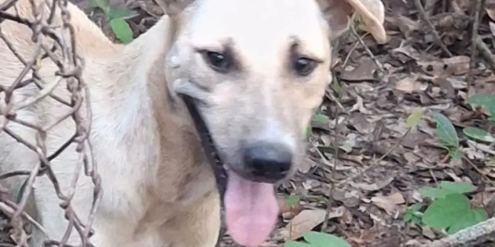 Imagem do grupo de WhatsApp 🇧🇷EQUIPE NOTURNA🇧🇷