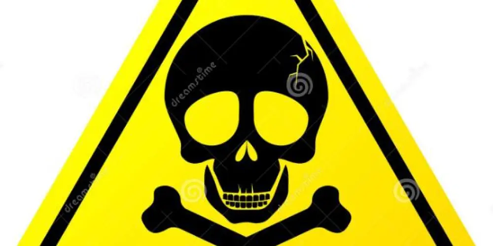 Imagem do grupo de WhatsApp ERC🔥