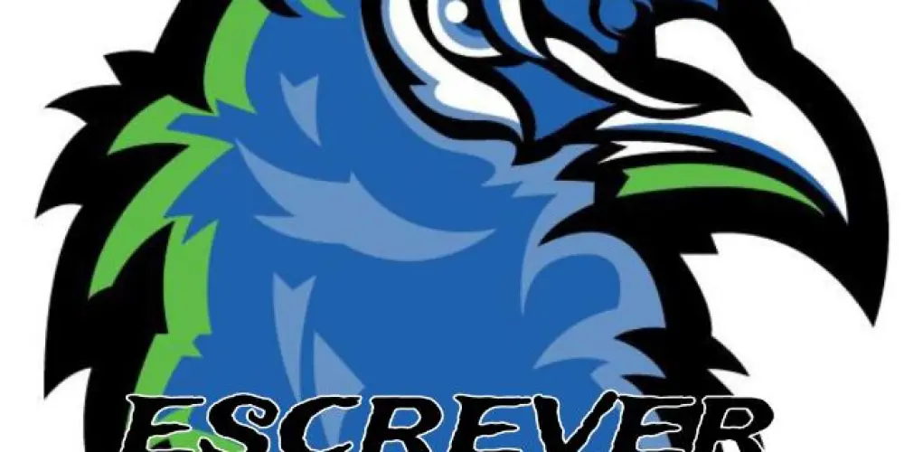Imagem do grupo de WhatsApp Escrever é arte