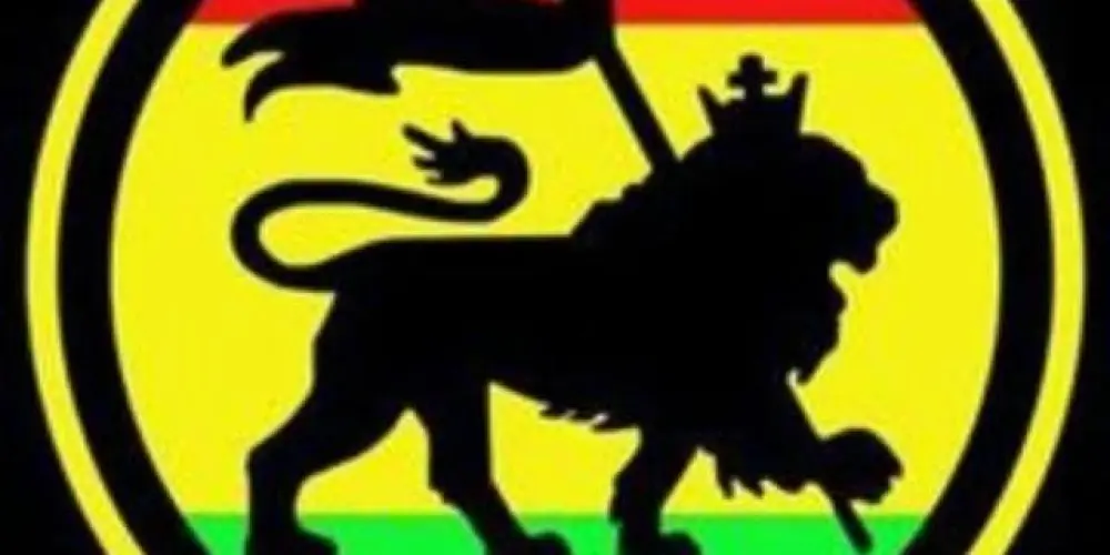 Imagem do grupo de WhatsApp ESPAÇO REGGAE