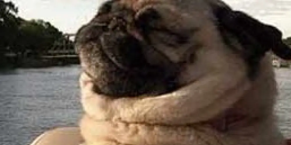 Imagem do grupo de WhatsApp esperando sempre a sexta-feira.