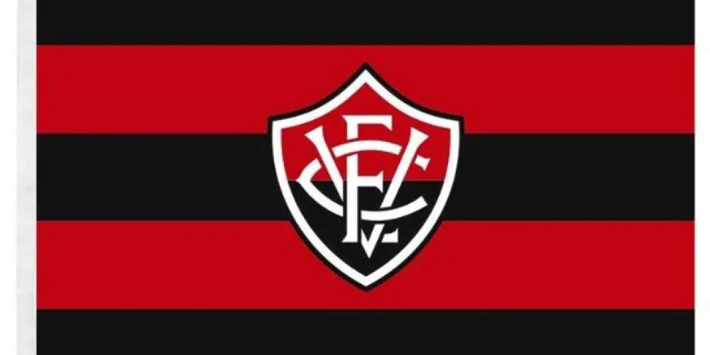 Imagem do grupo de WhatsApp 🦁 ESPORTE CLUBE VITÓRIA 🦁