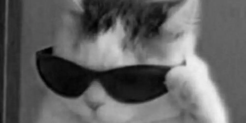 Imagem do grupo de WhatsApp 🥴💫ESQUIZOFRÊNICOS💫🥴