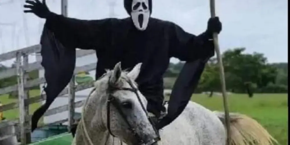 Imagem do grupo de WhatsApp Esse grupo é amostradinho