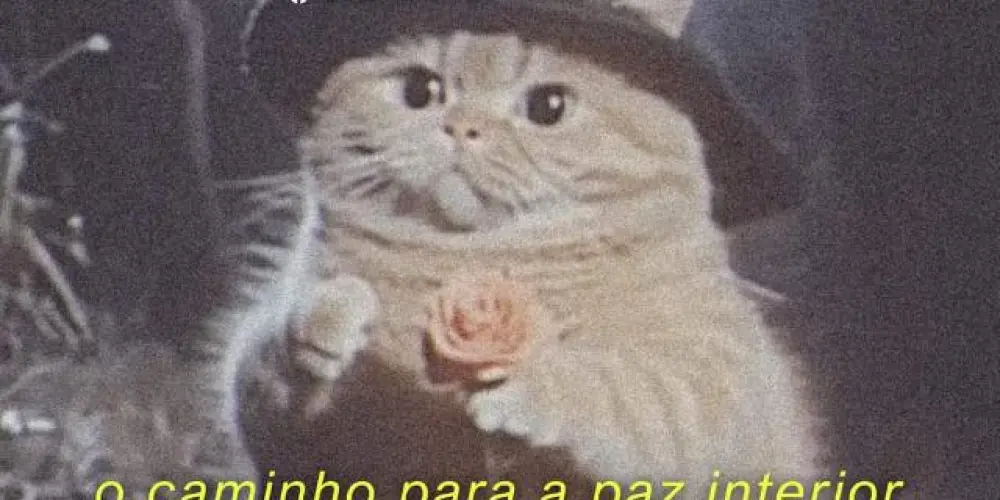 Imagem do grupo de WhatsApp Estabanados