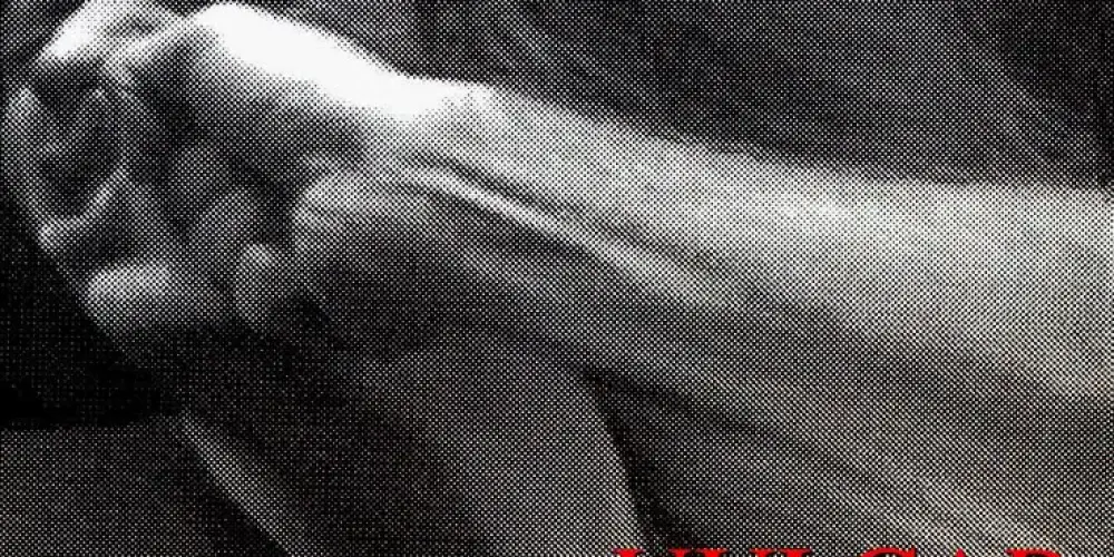 Imagem do grupo de WhatsApp Estação do Pigles