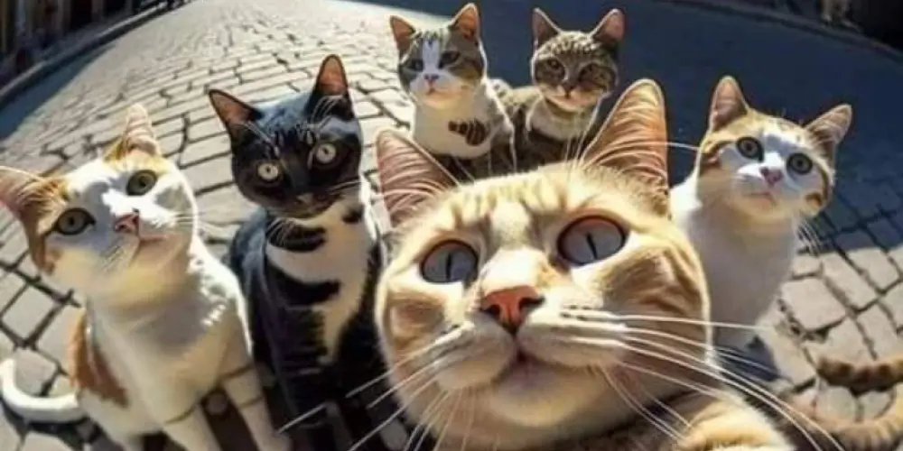 Imagem do grupo de WhatsApp Estilos em cachos