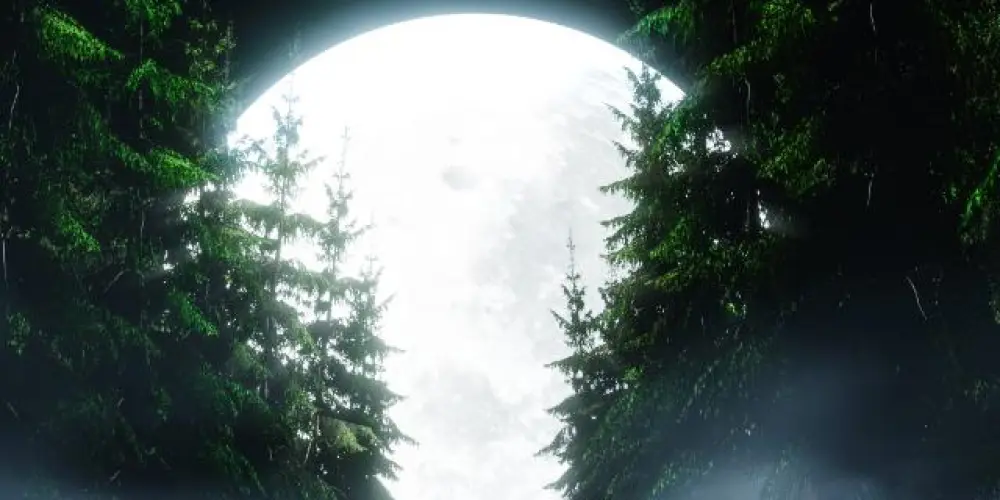 Imagem do grupo de WhatsApp ESTRADA É VIDA