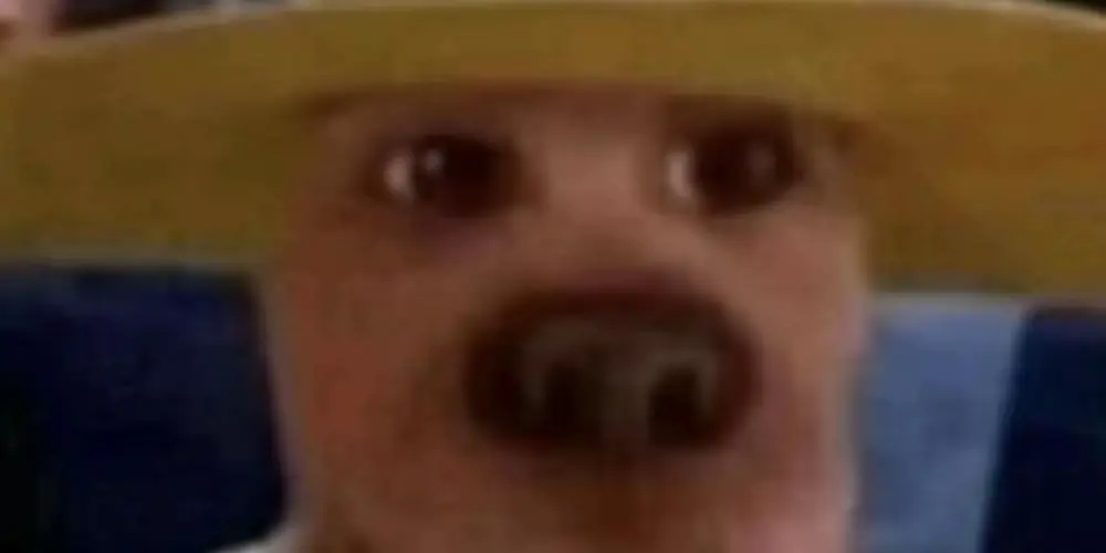 Imagem do grupo de WhatsApp Estranhos★