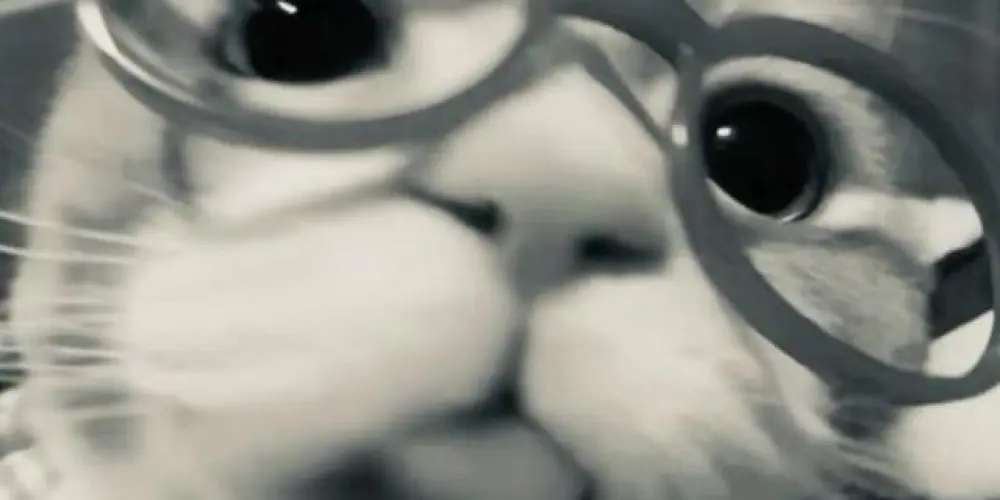 Imagem do grupo de WhatsApp -estranhos do whats 💀