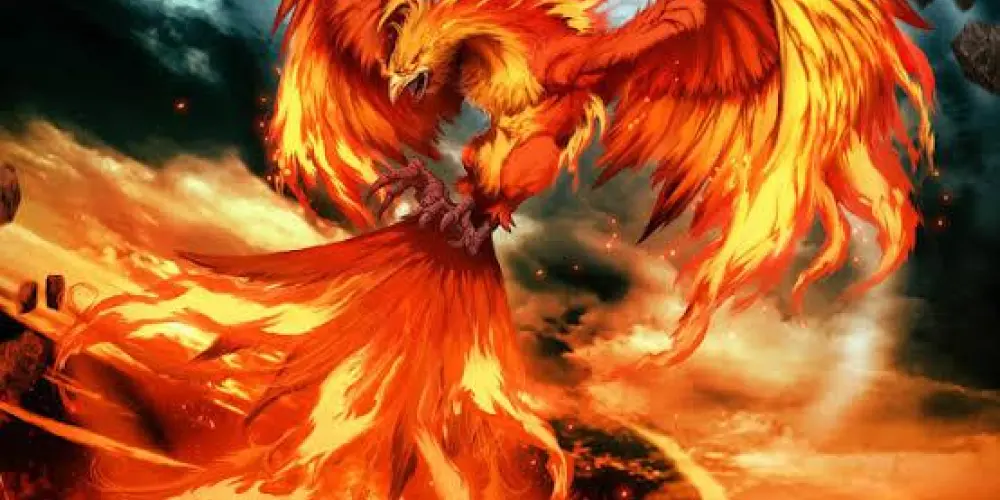 Imagem do grupo de WhatsApp Estratégias da Fênix