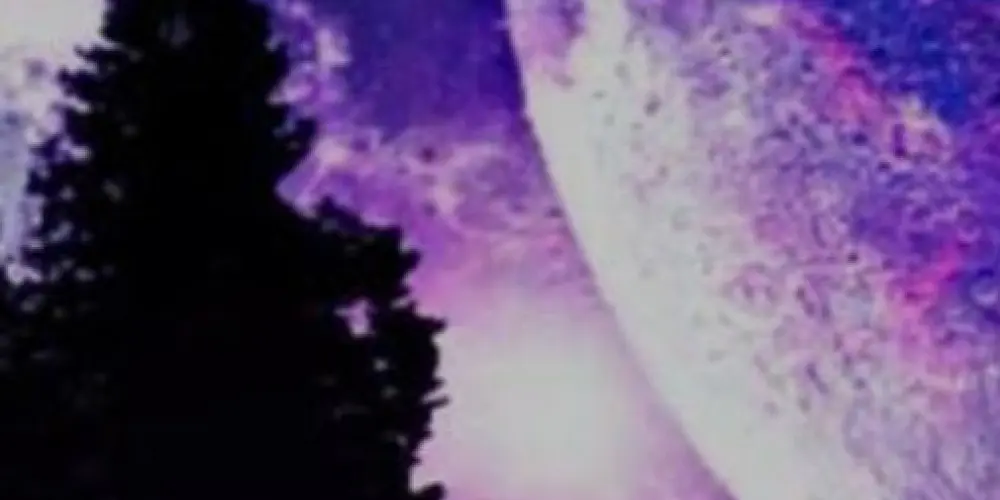 Imagem do grupo de WhatsApp 🌆Estrelas da noite 🌃