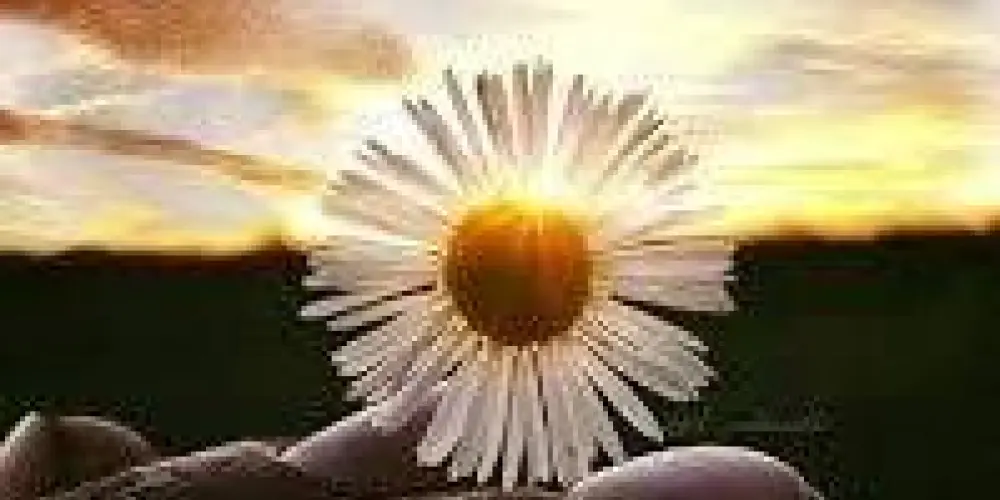 Imagem do grupo de WhatsApp Estudo Bíblico Diário