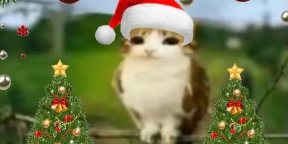 Imagem do grupo de WhatsApp 💯% Eᥒtrᥱtᥱᥒι꧑ᥱᥒt᥆