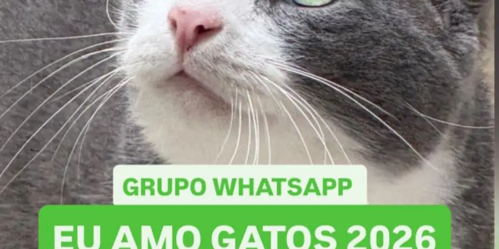 Imagem do grupo de WhatsApp EU AMO GATOS 2026