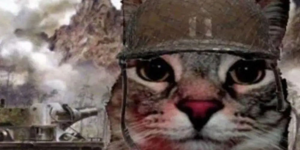 Imagem do grupo de WhatsApp Eu esqueci de rir