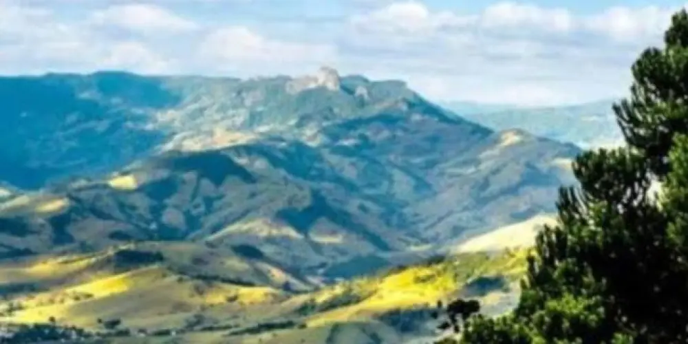 Imagem do grupo de WhatsApp Eu ❤️ pernambucana😻