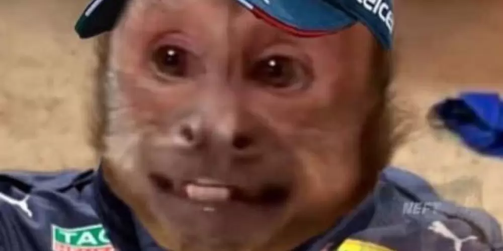 Imagem do grupo de WhatsApp EUA 🇺🇸🦅🔥