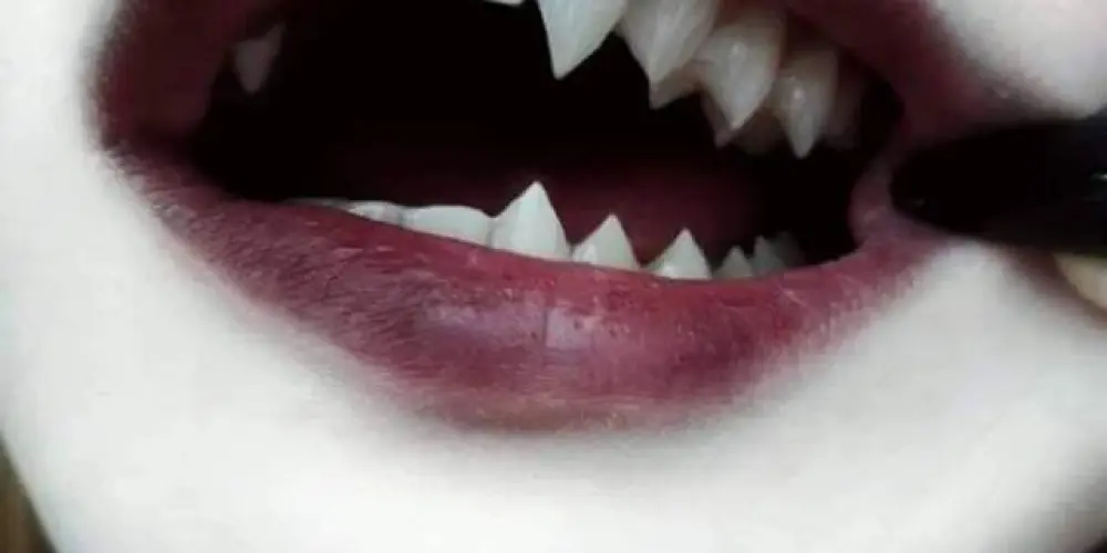 Imagem do grupo de WhatsApp euthanasia ⛧