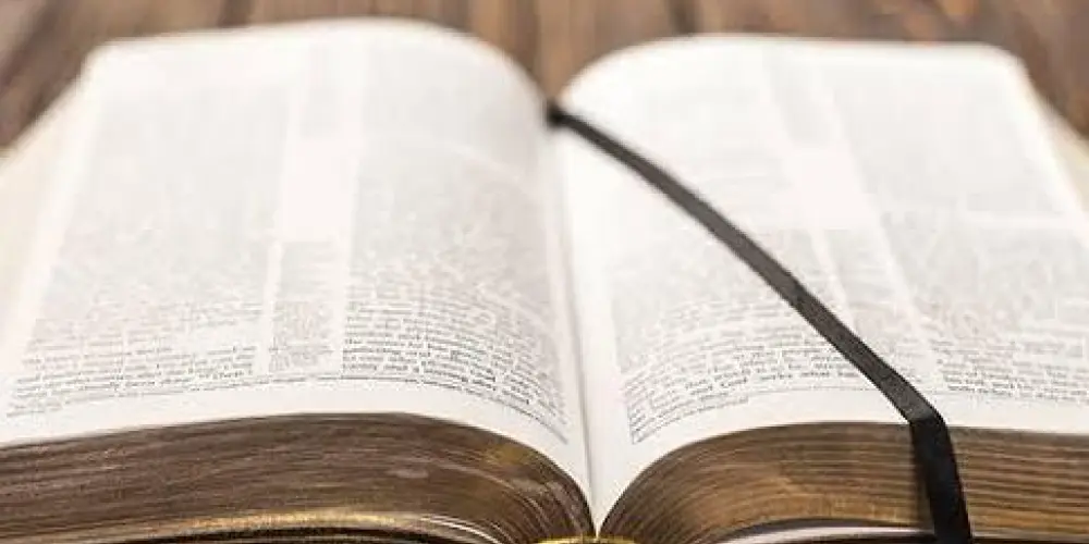 Imagem do grupo de WhatsApp Evangelho do Dia