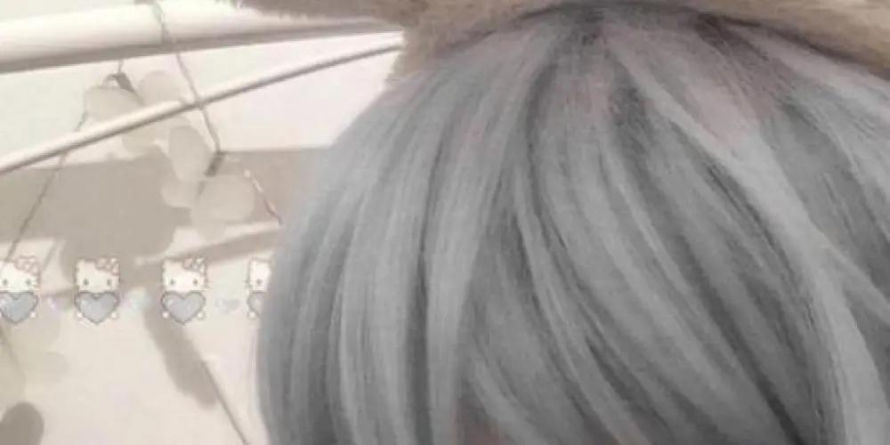 Imagem do grupo de WhatsApp ❄️ ˖𓏲꫶ EVERLAST