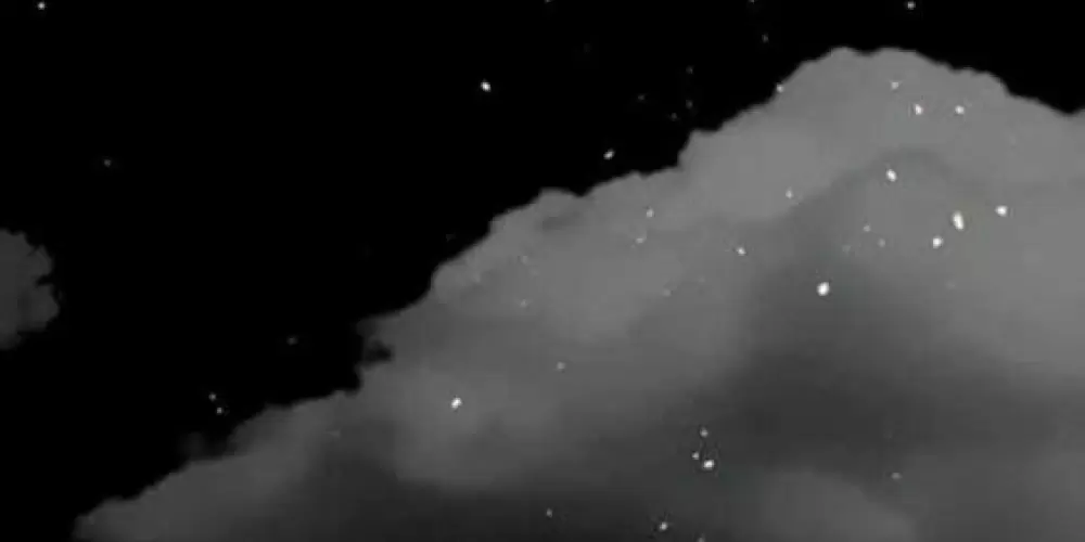 Imagem do grupo de WhatsApp Every garden🧠