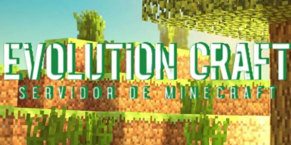 Imagem do grupo de WhatsApp Evolution Craft