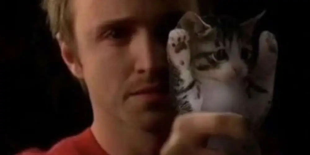 Imagem do grupo de WhatsApp Expulsaram os cara😓