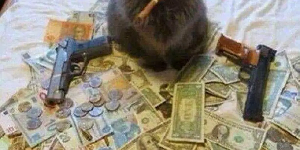 Imagem do grupo de WhatsApp Ex's tops