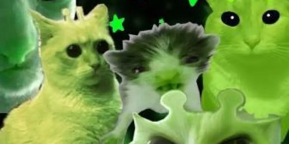 Imagem do grupo de WhatsApp Extrahospicio👁️👄👁️