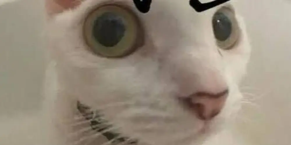 Imagem do grupo de WhatsApp #Fₒᵣₐ 𝚍ₒ Cₒ𝚗𝚝ₑₓ𝚝ₒ💥🗣️