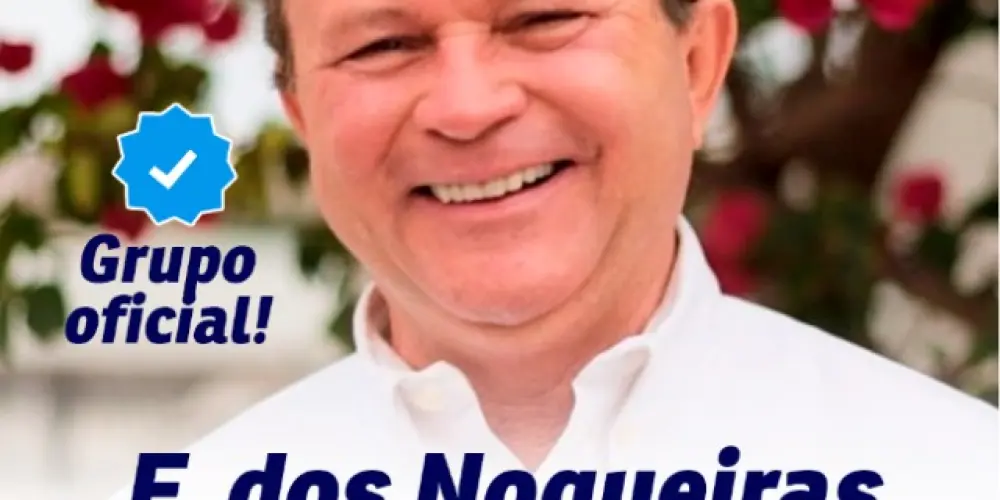 Imagem do grupo de WhatsApp F. Nogueiras com Brandão