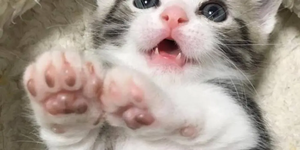 Imagem do grupo de WhatsApp 🌜💫~>.F r i e n d s.<~💫🌜