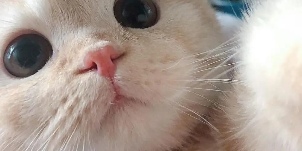 Imagem do grupo de WhatsApp 💫👻~>.<F r i e n d s>.<~👻💫