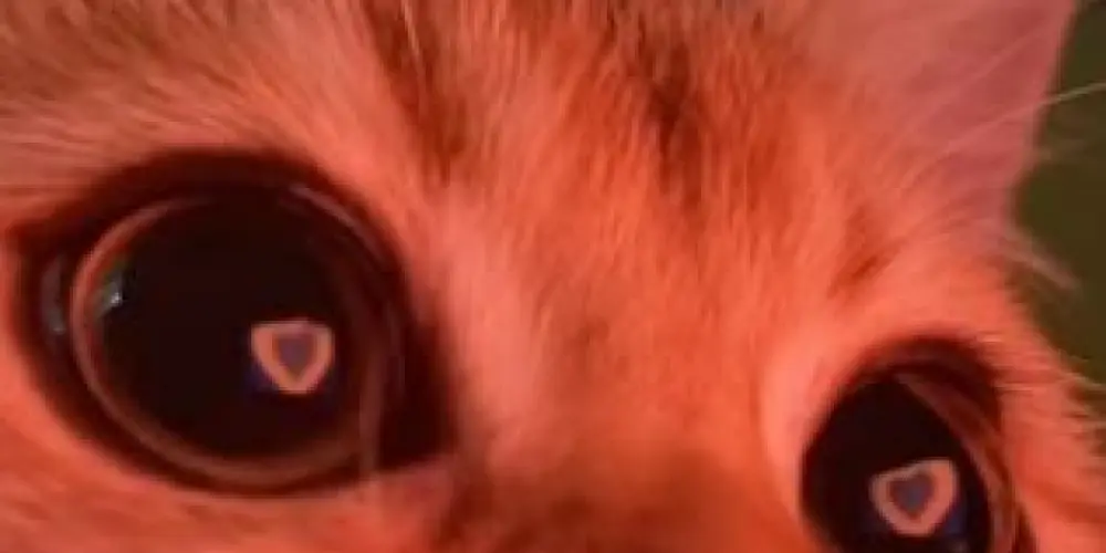 Imagem do grupo de WhatsApp F!9ur!nh45 3 4m!24d35