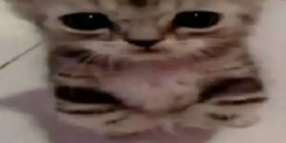 Imagem do grupo de WhatsApp ▀▄📍 f̶a̶l̶a̶ d̶a̶í̶ c̶h̶e̶f̶e̶📍▄▀