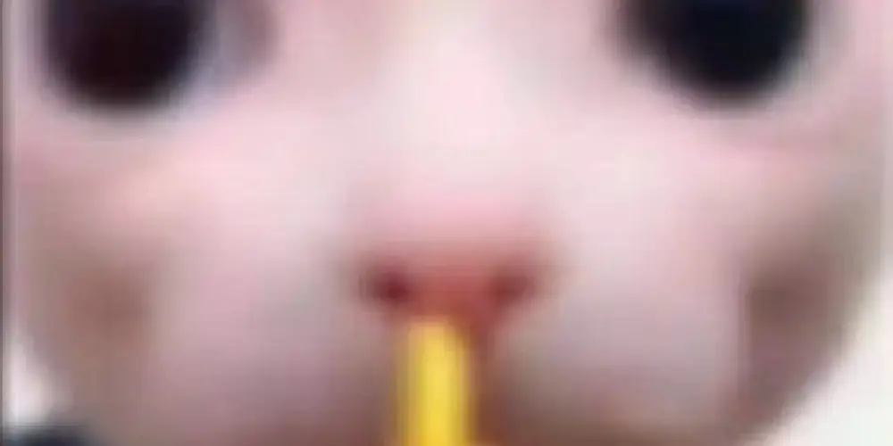 Imagem do grupo de WhatsApp ▀▄📍 f̶a̶l̶a̶ d̶a̶í̶ c̶h̶e̶f̶e̶📍▄▀☺︎