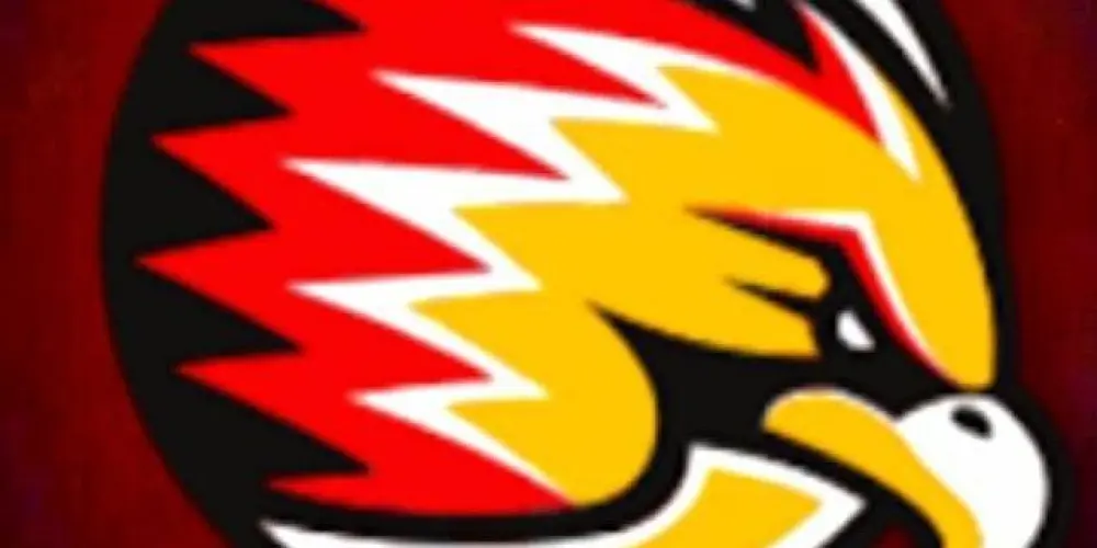 Imagem do grupo de WhatsApp Falcões Dourados