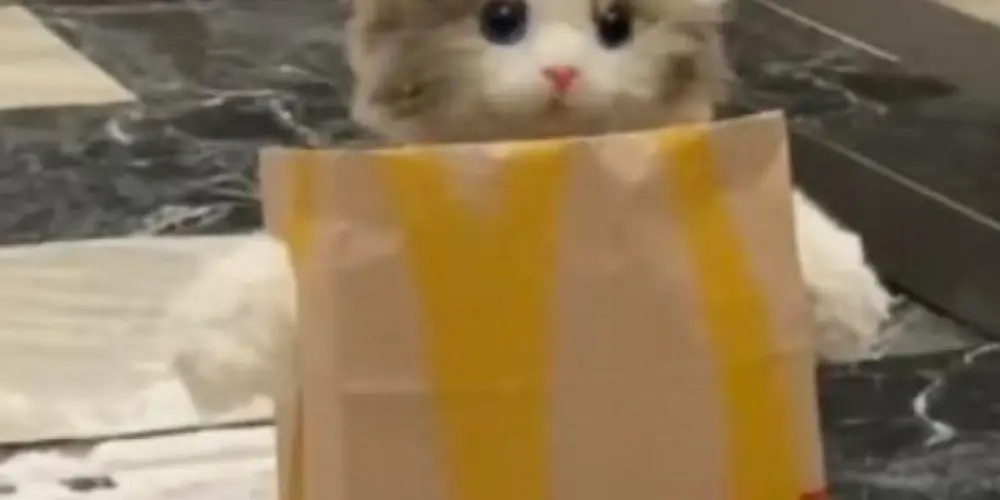 Imagem do grupo de WhatsApp FALE+ | Bate-Papo Sem Climinha 💬✨