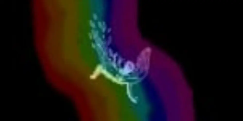 Imagem do grupo de WhatsApp ✨ F̶a̶l̶l̶e̶n̶ a̶n̶g̶e̶l̶s̶ ✨