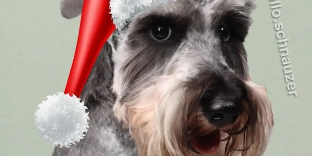 Imagem do grupo de WhatsApp Famili ❤‍🩹