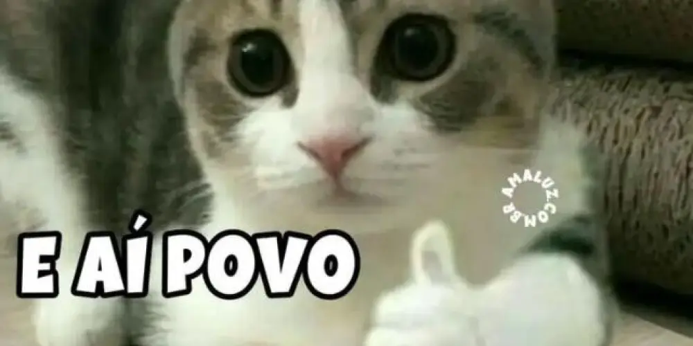 Imagem do grupo de WhatsApp Família°○