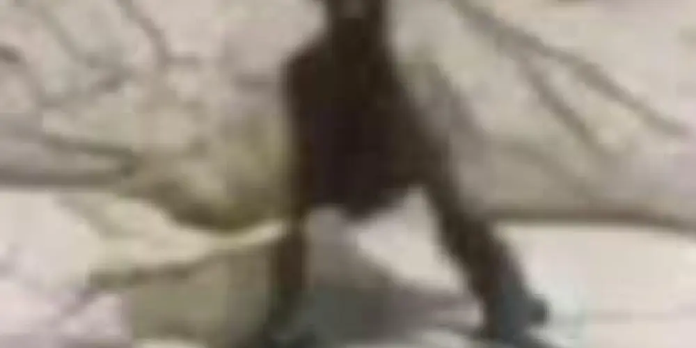 Imagem do grupo de WhatsApp Família:)