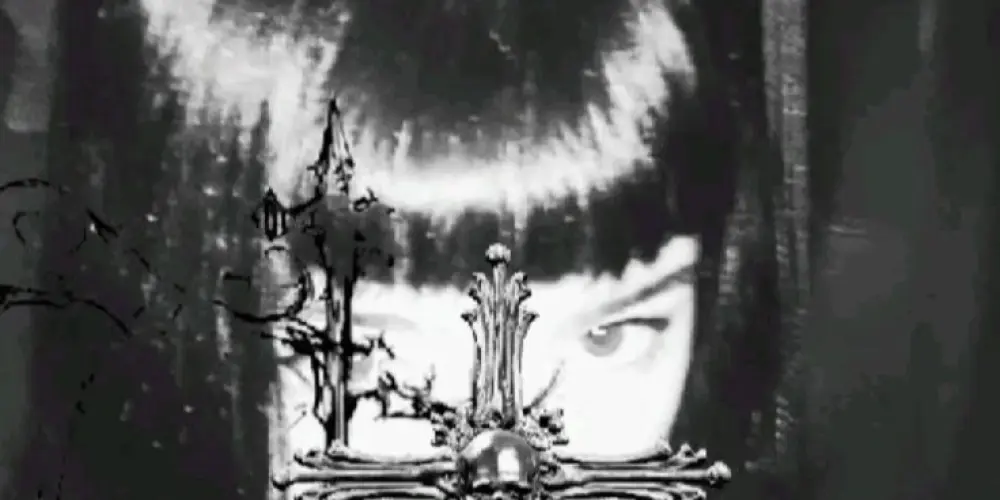 Imagem do grupo de WhatsApp Família adams